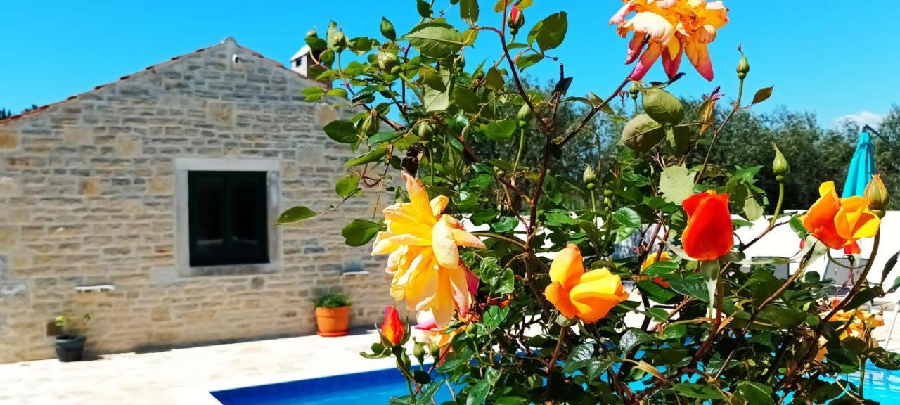 Leggiero Villa Benkovac Dış mekan fotoğraf