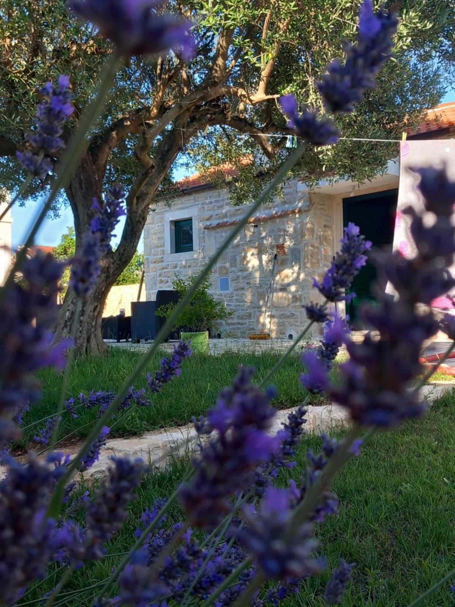 Leggiero Villa Benkovac Dış mekan fotoğraf